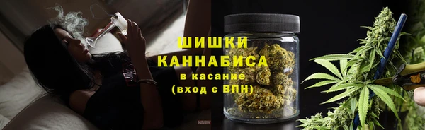 шишки Алзамай