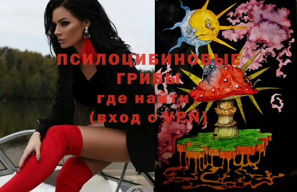 шишки Алзамай