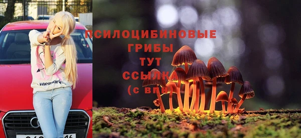 крисы Алексин