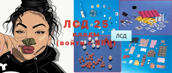 шишки Алзамай
