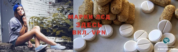 крисы Алексин
