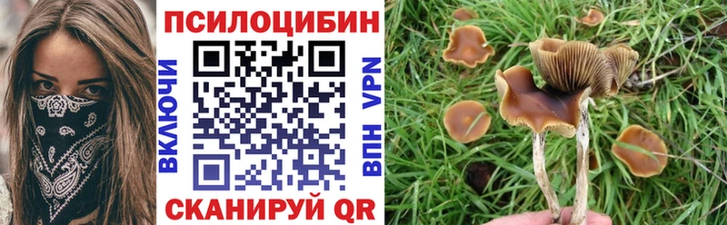 наркошоп  omg   Псилоцибиновые грибы Psilocybe  Гурьевск 